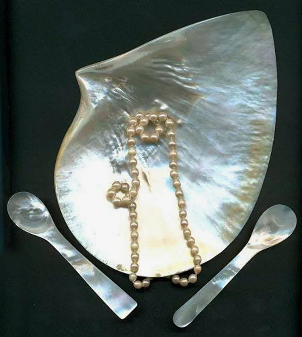 Cuillère à sel en nacre 6 cm de long), Edzard