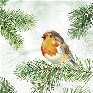 Dessous de Verres Oiseau (bte4), Ihr