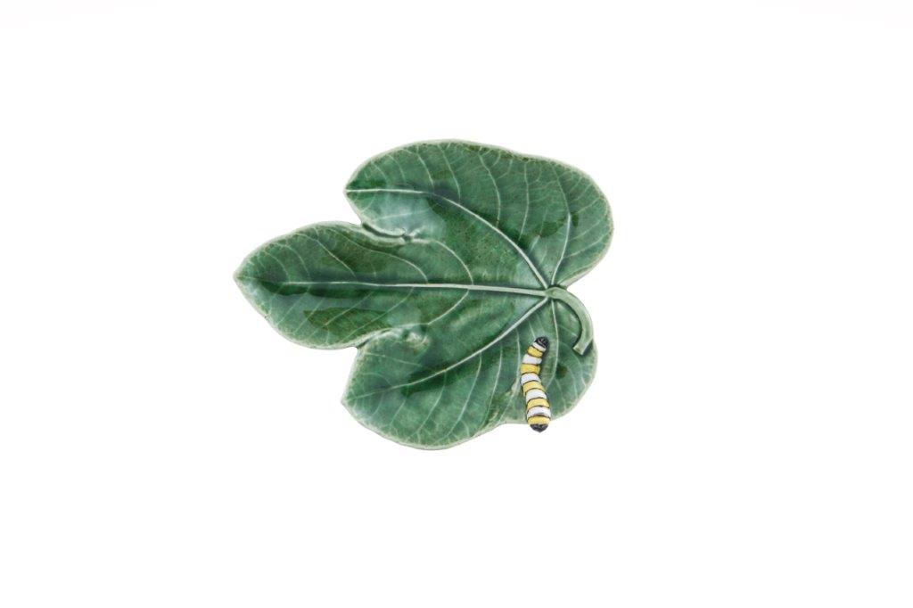 Feuilles Figuier avec Chenille