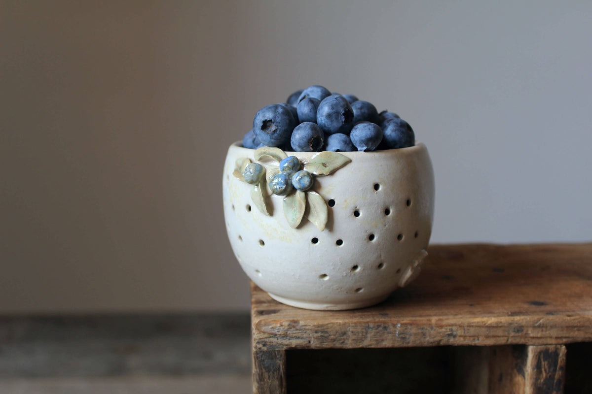 Blueberry : bol aéré pour conserver vos baies
