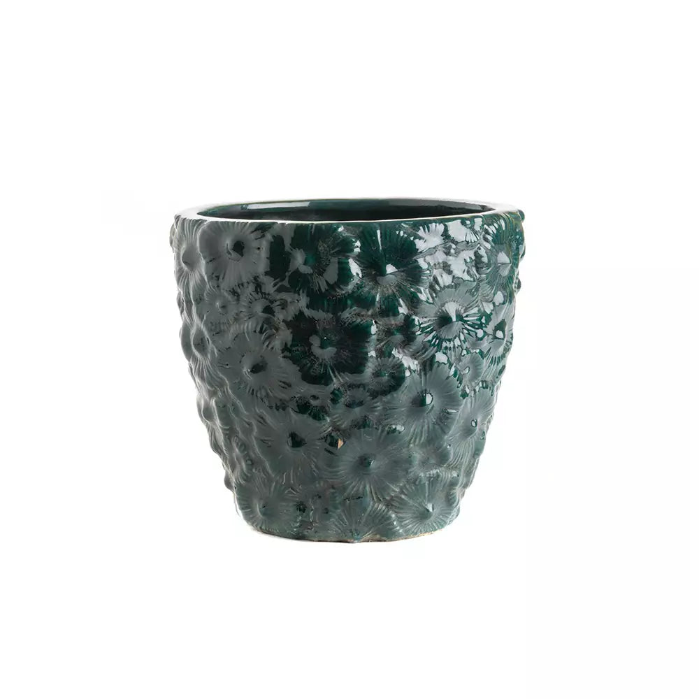 PM plant pot, Fiji, Asiatides